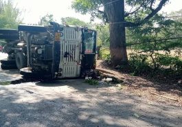 Himachal Accident: आवारा पशु को बचाने के चक्कर में सड़क पर पलटा ट्रक! हादसे में चालक…..