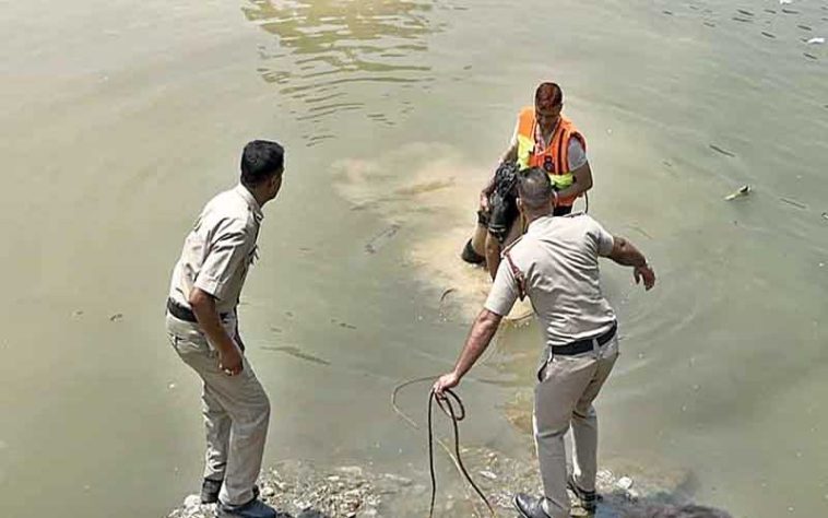 Himachal Latest News: दो हफ्तों से लापता चल रही 17 वर्षीय अर्चना का पार्वती नदी से मिला शव