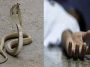 दुखद: हिमाचल में गाय को चराकर घर लौट रहे 23 वर्षीय युवक को सांप ने डसा! दर्दनाक मौत