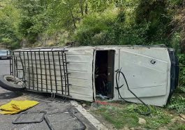 Accident In Himachal: तेज रफ्तारी में ओवरटेक करते सड़क पर पलटी जीप! हादसे में 16 लोग……