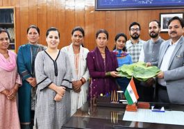 HP News: तारादेवी मंदिर में अब टौर के पत्तल में मिलेगा लंगर! पांच हजार पत्तल बनाने का दिया आर्डर