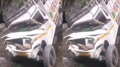 Accident In Himachal: खड्ड में गिरी गाय लेकर जा रही पिकअप! एक की मौत तो दो घायल