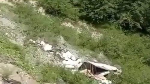 Accident In Himachal: कबाड़ से लदी पिकअप गहरी खाई में गिरी! चालक की मौत तो दो ने छलांग लगाकर बचाई जान