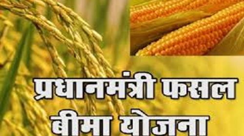 PM Kisan Yojana: कब जारी होगी 19वीं किस्त! इन किसानों के बैंक अकाउंट में नहीं आएंगे 2000-2000 रुपये