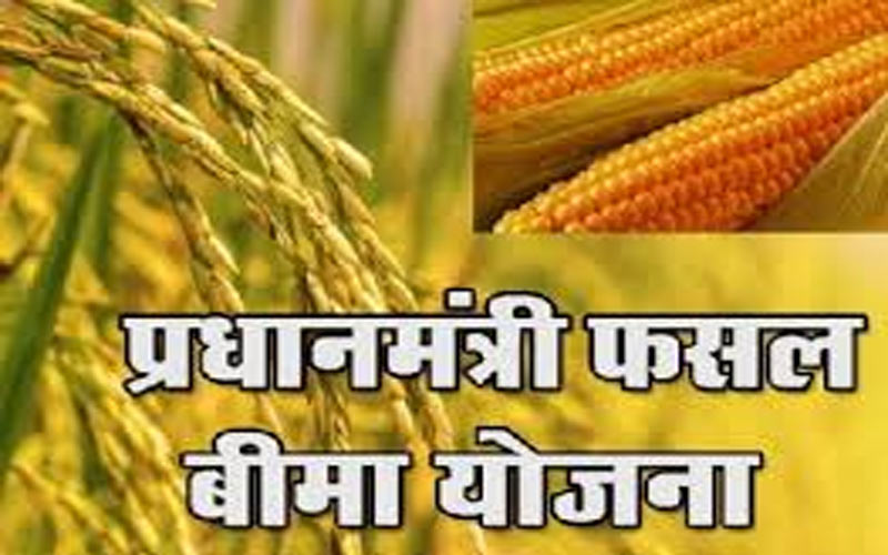 PM Kisan Yojana: कब जारी होगी 19वीं किस्त! इन किसानों के बैंक अकाउंट में नहीं आएंगे 2000-2000 रुपये