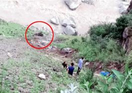हिमाचल में दर्दनाक हादसा: खाई में गिरा मटर से लदा ट्रक! सिरमौर निवासी चालक की मौत