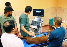 HP News: हिमाचल में ऐसा अस्पताल जहां 6 महीने पहले ही पता चल जाती है पशुओं की बीमारी