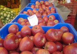 Apple Season: हिमाचल में क्रेट में बिक रहा सेब! बागवानों को 120 रुपये प्रतिकिलो तक मिले दाम