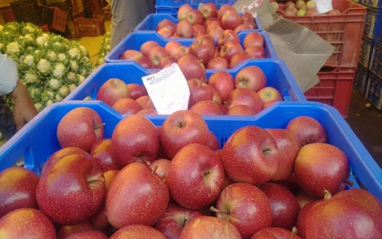 Apple Season: हिमाचल में क्रेट में बिक रहा सेब! बागवानों को 120 रुपये प्रतिकिलो तक मिले दाम