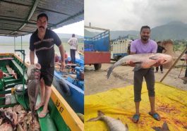 HP News: प्रदेश में मत्स्य आखेट से हटा प्रतिबंध! मछुआरों का रोजगार शुरु, पकड़ी 33.5 किलो ग्राम कतला मछली