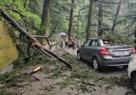 Himachal Weather: हिमाचल में ऑरेंज अलर्ट के बीच बरसे मेघ! जगह-जगह पेड़ ढहे गाड़ियों को नुकसान