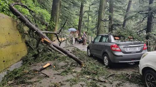 Himachal Weather: हिमाचल में ऑरेंज अलर्ट के बीच बरसे मेघ! जगह-जगह पेड़ ढहे गाड़ियों को नुकसान