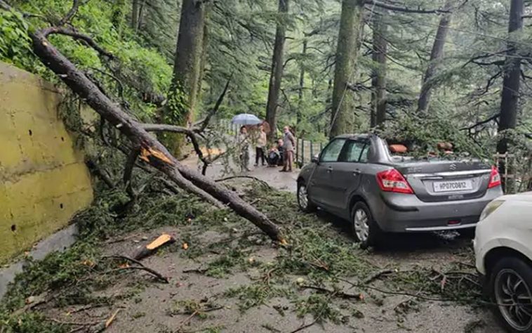 Himachal Weather: हिमाचल में ऑरेंज अलर्ट के बीच बरसे मेघ! जगह-जगह पेड़ ढहे गाड़ियों को नुकसान