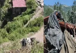 Accident In Himachal: हिमाचल में बेकाबू ट्रक ने 7 वाहनों को रौंदा! मंदिर का गेट व शेड भी तोड़ा