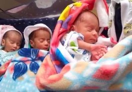 HP News: हिमाचल में महिला ने तीन बच्चों को दिया जन्म! दो बेटे व एक बेटी शामिल