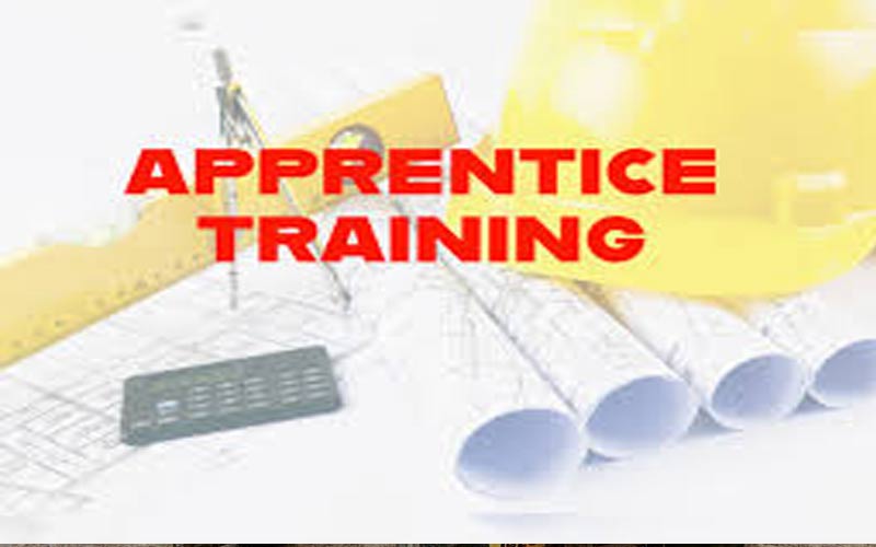 HP News: हिमाचल में आठवीं, दसवीं, बारहवीं उत्तीर्ण भी अप्रेंटिसिव ट्रेनिंग के लिए पात्र HP News: हिमाचल में आठवीं, दसवीं, बारहवीं उत्तीर्ण भी अप्रेंटिसिव ट्रेनिंग के लिए पात्र