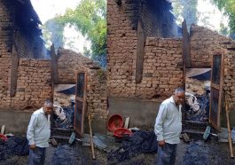 Himachal News Update: गौशाला में आग लगने से गाय सहित जिंदा जली चार दिन की बछड़ी