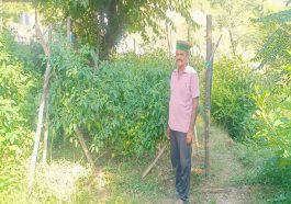 HP News: कृषि प्रोत्साहन योजनाओं ने खत्म की पेंशन की टेंशन! बंजर भूमि से एक साल में कमाए चार लाख