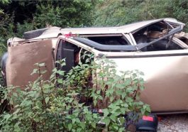 Accident In Himachal: गहरी खाई में गिरी कार! शास्त्री अध्यापक की मौत, दो बेटे घायल