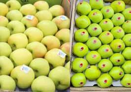 Golden Apples: व्यापारियों की पहली पसंद बना गोल्डन सेब! दामों में इजाफा होने से बागवान खुश