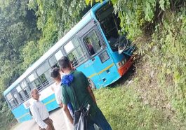 HRTC Bus Accident: पेड़ से टकराई एचआरटीसी बस! 15 के करीब यात्री थे सवार