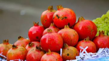 Himachal News: मंडी में धूम मचा रहा सिंदूरी किस्म का अनार! 130 रुपये किलो के हिसाब से बिका