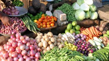 Vegetable Price: हिमाचल में सब्जियों के दामों में भारी उछाल! फूलगोभी 100 तो प्याज-टमाटर पहुंचा 60……