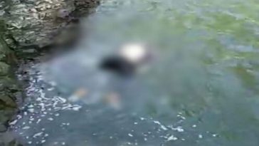 Himachal News Alert: व्यास नदी में मिला 45 वर्षीय व्यक्ति का शव! 15 दिन से था लापता