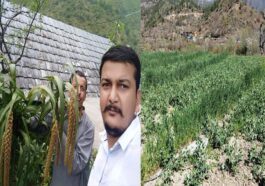 HP News: प्राकृतिक विधि से फसलें उगा रहे हिमाचल के आशा राम! हो रही डेढ़ लाख रुपये तक की कमाई