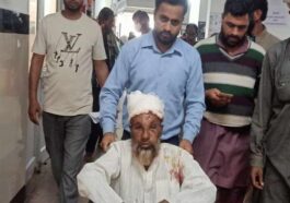 Bear Attack: हिमाचल में भालू ने व्यक्ति पर किया हमला! खूंटा उखाड़कर खूंखार से भिड़े बैल, बचाई मलिक की जान