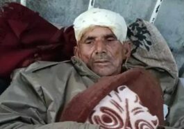 Bear Attack: भालू ने गौशाला तोड़कर पशुओं पर किया हमला! बीच बचाव करने आया व्यक्ति लहूलुहान