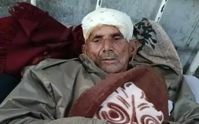 Bear Attack: भालू ने गौशाला तोड़कर पशुओं पर किया हमला! बीच बचाव करने आया व्यक्ति लहूलुहान