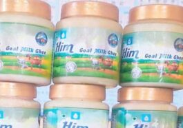 HP News: मिल्कफेड ने तैयार किया कई पोषक तत्व से भरपूर बकरी के दूध का घी! दाम 1800 रुपये प्रति किलो