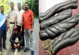 Himachal Crime News: गश्त कर रही पुलिस को देखकर भागने लगा व्यक्ति! पकड़ कर ली तलाशी तो बरामद हुई चरस