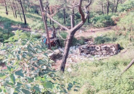 Accident In Himachal: सेब से भरा ट्रक हादसे का शिकार! सड़क से नीचे लुढ़का, दो लोग घायल