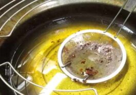 HP News: तलाई से बचे खाद्य तेल की कलेक्शन करेगी बद्दी की फर्म! होटल-ढाबों से स्टोर करने की अपील