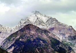 Weather Update: हिमाचल की ऊंची चोटियों पर पांच से आठ सेंटीमीटर तक बर्फबारी! तापमान गिरा