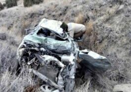 Accident In Himachal: मोड़ते वक्त खाई में लुढ़की कार! गिरते ही उड़े परखच्चे, चालक की चली गई जान