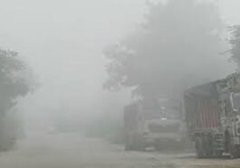 Himachal Weather: कोहरे की चपेट में आए हिमाचल के निचले इलाके! सुबह-शाम ठिठुरन बढ़ी