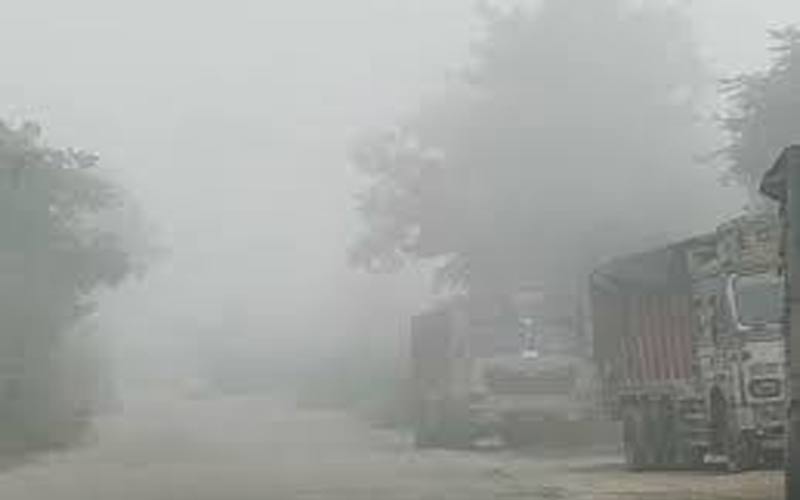 Himachal Weather: कोहरे की चपेट में आए हिमाचल के निचले इलाके! सुबह-शाम ठिठुरन बढ़ी