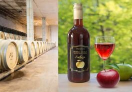 HP News: हिमाचल में 86 करोड़ रुपये की लागत से स्थापित होगी वाइनरी! सरकार ने HPMC को प्रदान किया लाइसेंस