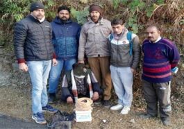 Himachal Crime News: 2.600 किलोग्राम चरस लेकर जा रहा था तस्कर! एएनटीएफ ने जाल बिछाकर ऐसे दबोचा आरोपी…