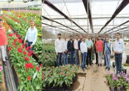 HP News: बेंगलुरु पहुंचा हिमाचल के बागवानी अधिकारियों का दल! जरबेरा फूलों की खेती की संभावनाओं पर की चर्चा