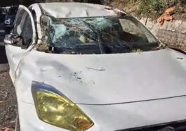 Himachal News Alert: चलती गाड़ी पर गिरा देवदार का सूखा पेड़! अंदर सवार थे ड्राइवर सहित सरकारी कर्मचारी