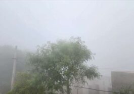 Himachal Weather: हिमाचल में कोहरे से गिरी विजिबिलिटी! शीतलहर से कांपे लोग, तीन स्थानों पर तापमान में उछाल