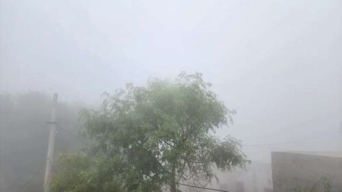 Himachal Weather: हिमाचल में कोहरे से गिरी विजिबिलिटी! शीतलहर से कांपे लोग, तीन स्थानों पर तापमान में उछाल