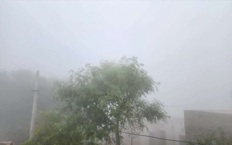 Himachal Weather: हिमाचल में कोहरे से गिरी विजिबिलिटी! शीतलहर से कांपे लोग, तीन स्थानों पर तापमान में उछाल