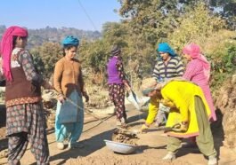 HP News: महिला सशक्तिकरण की राह प्रशस्त कर रहा मनरेगा! दिहाड़ी में 60 रुपए की बढ़ोतरी से महिलाओं को मिला संबल