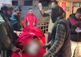 Accident In Himachal: अनियंत्रित होकर पलटी पिकअप! जम्मू-कश्मीर के पांच लोग घायल, एक की हालत गंभीर