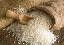 Himachal News Update: हिमाचल के राशन डिपुओं में लोगों को मिलेंगे लोकल चावल! जानिए क्या है सरकार की योजना